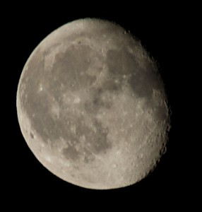 Picture of the moon